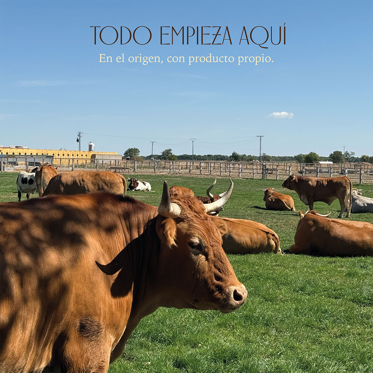 Comida maridaje con Bodegas Emilio Moro - Imagen 2
