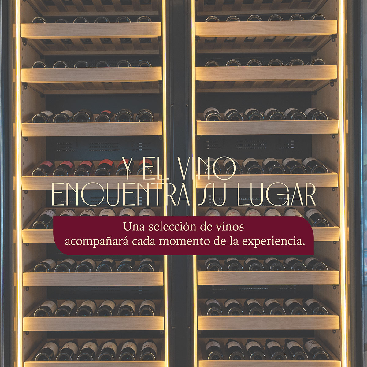 Comida maridaje con Bodegas Emilio Moro - Imagen 4