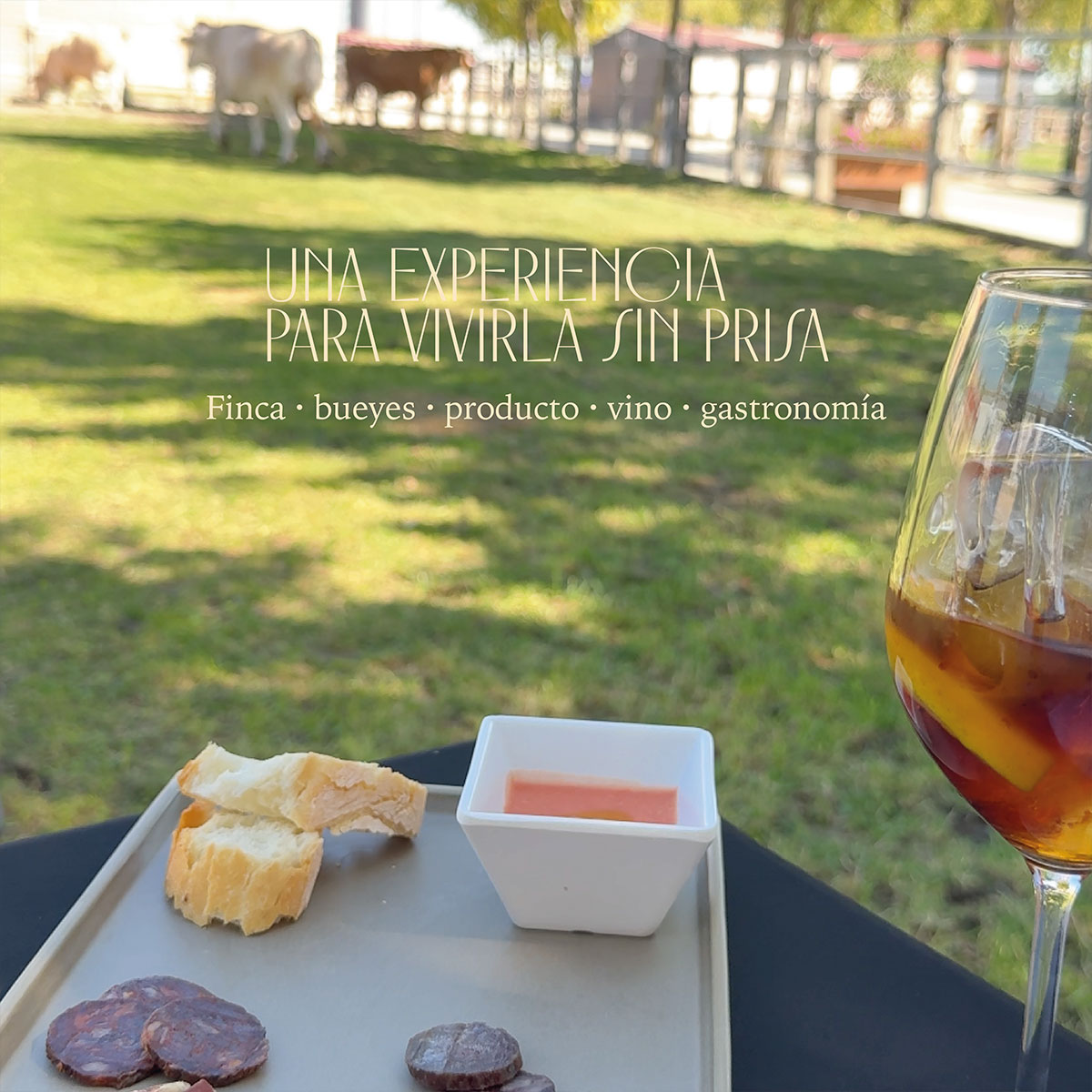 Comida maridaje con Bodegas Emilio Moro - Imagen 5